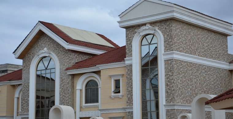 Bogani Palm - Image 2