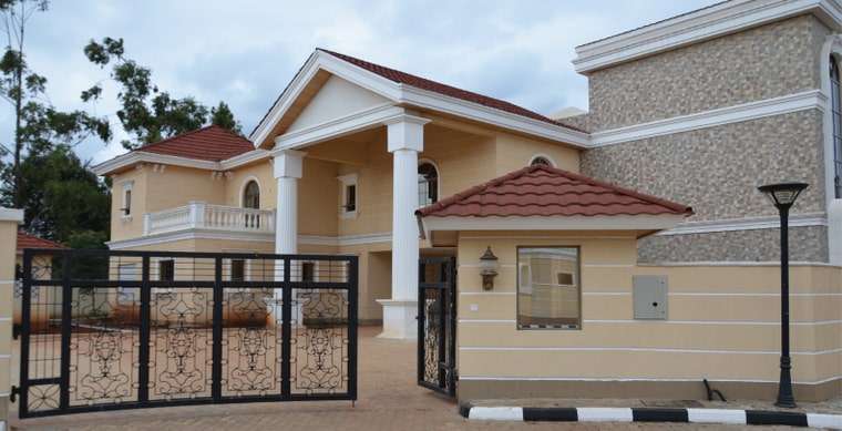Bogani Palm - Image 3