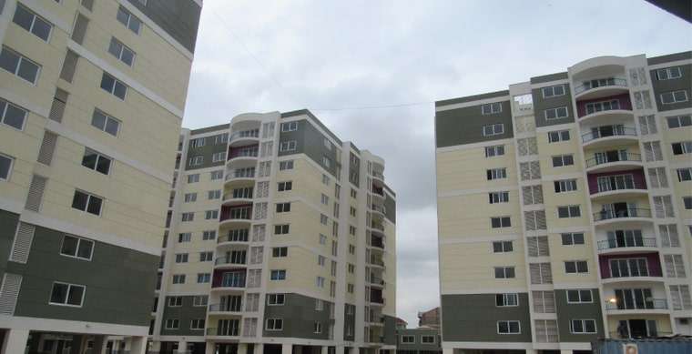 Kings Millennium - Image 5