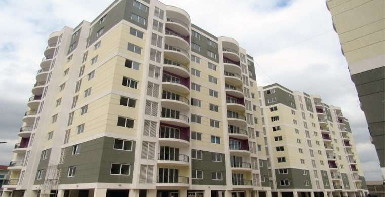 Kings Millennium - Image 3